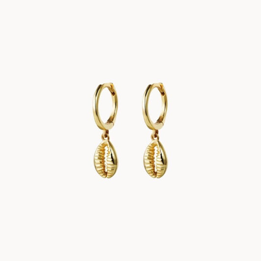 Boucles d'oreilles coquillage pour femme, petites créoles coquillage cauri en argent ou doré